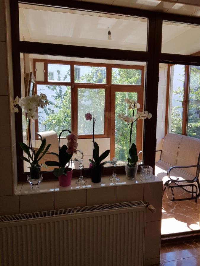 Năvodari Dativo House מראה חיצוני תמונה