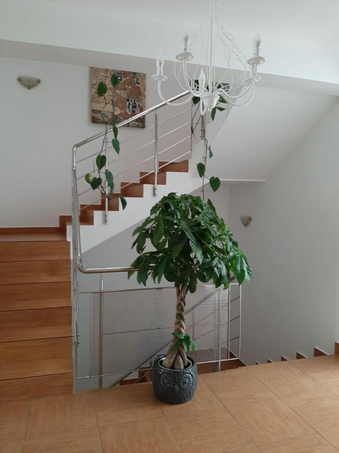 Năvodari Dativo House מראה חיצוני תמונה