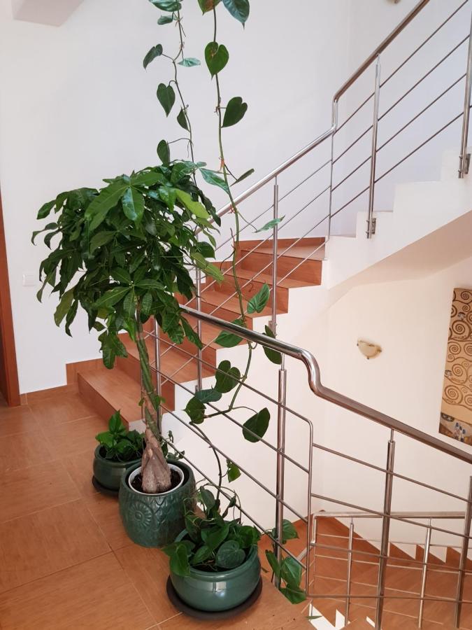 Năvodari Dativo House מראה חיצוני תמונה